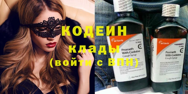 соль ск Кукмор