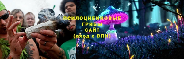 прущая мука Бородино